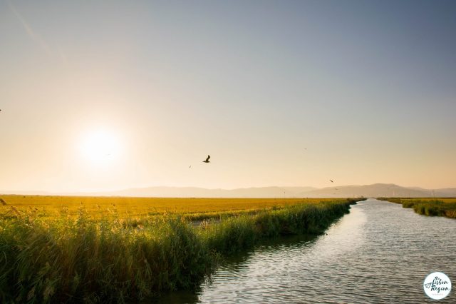 The Splendor of Lezíria